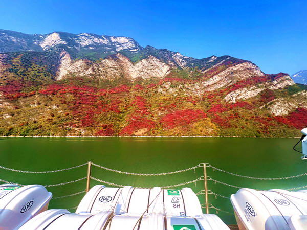 IMG_3964_调整大小.JPG